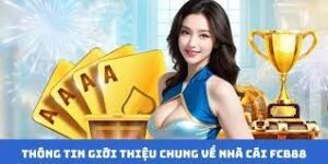 Định nghĩa và giải thích cơ bản về FCB8